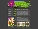 Nature Within flash template