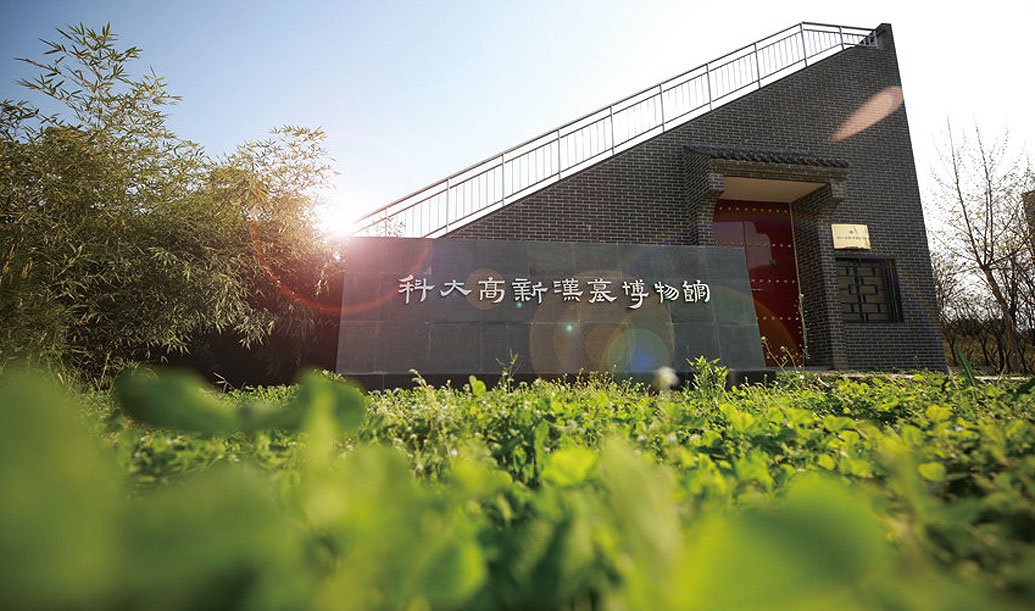 更多阅读科学划分为多功能活动...